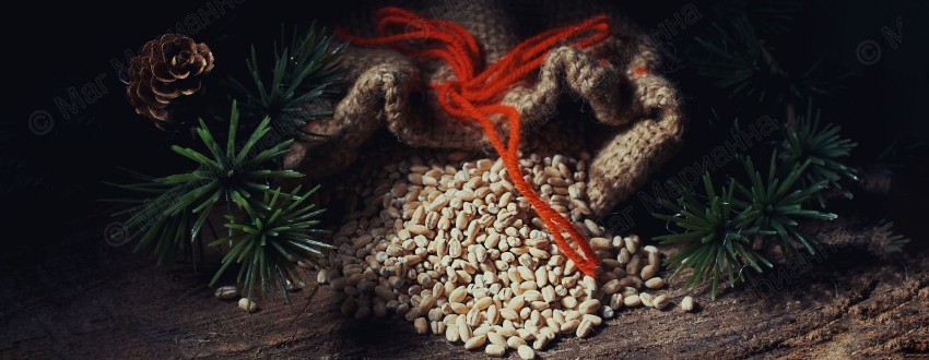 Посевание на Старый Новый год