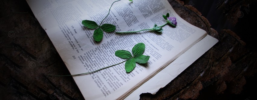 Шепотки на удачу