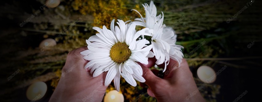 Здоровье, любовь, деньги — обряды на Ивана Купала от мага Марианны