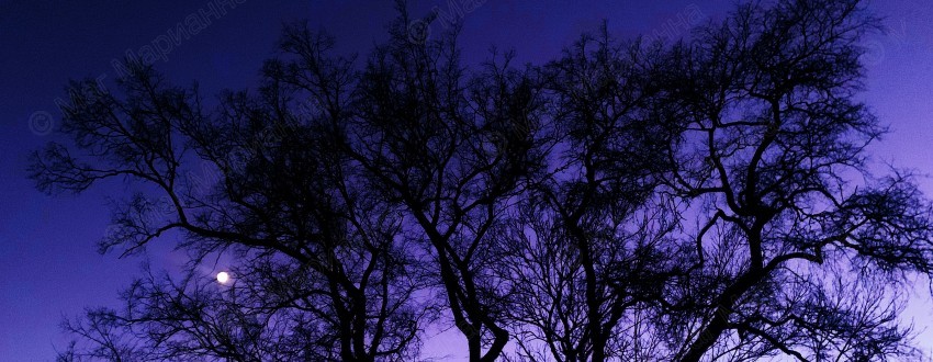 Полнолуние и Затмение