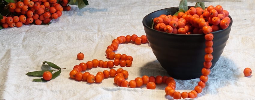 Рябина как оберег, бусы из рябины