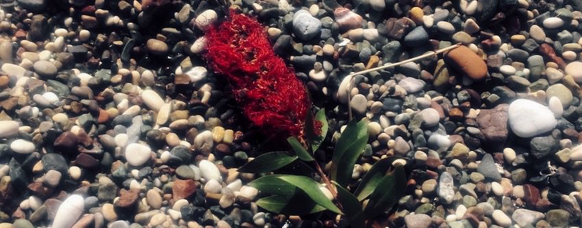 Про обретение женского счастья