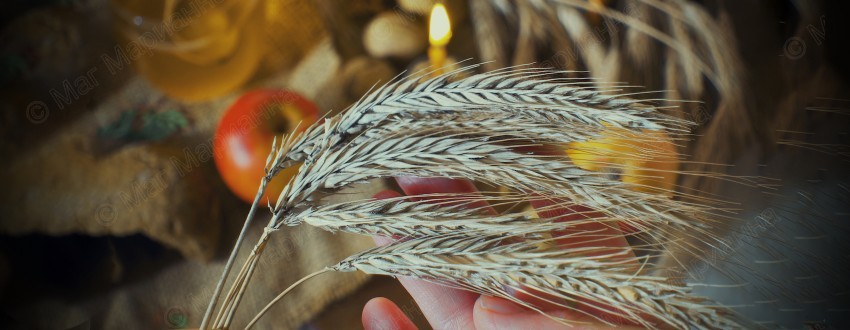 Хлебный спас 2022