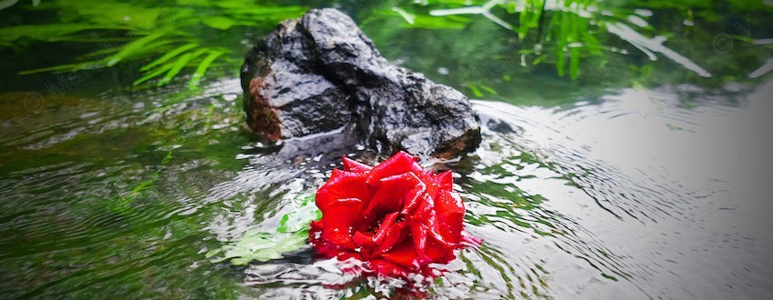 Ивана Купала обряды на деньги, снятие негатива, защита