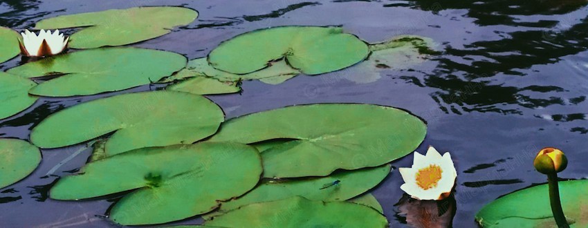 Ильин день 2 августа -- можно или нельзя купаться