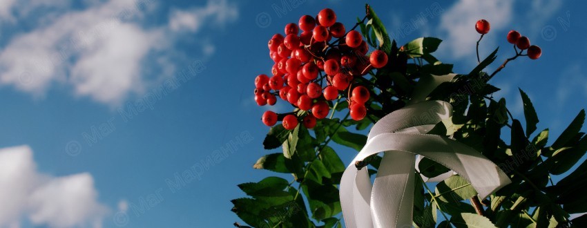 Осеннее равноденствие. Обряд с рябиной