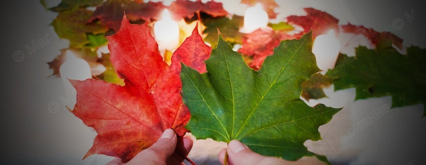 Осеннее равноденствие