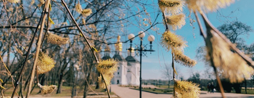 Вербное воскресенье 2022