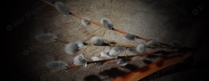 Вербное воскресенье