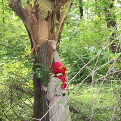 Обряд восстановления жизненной энергии в лесу